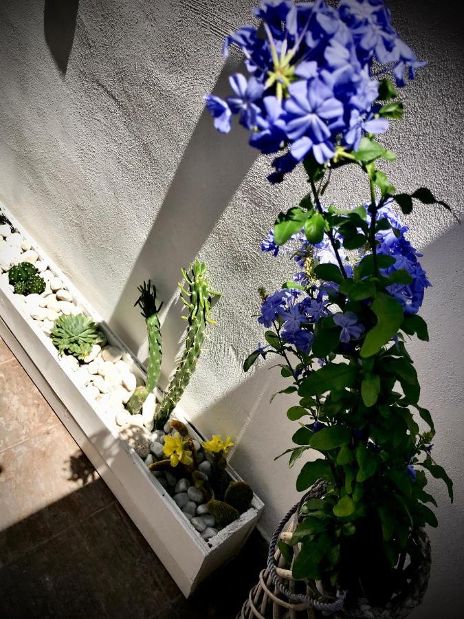 Bed & Breakfast Le Statuine Barletta